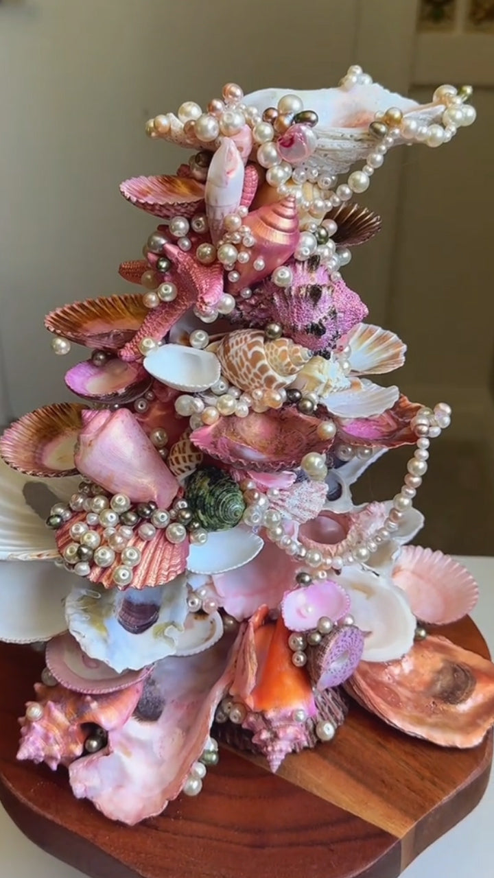 Seashell jewelry stand/ jewelry holder